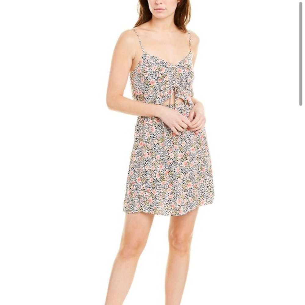 Saltwater Luxe Piper Mini Dress